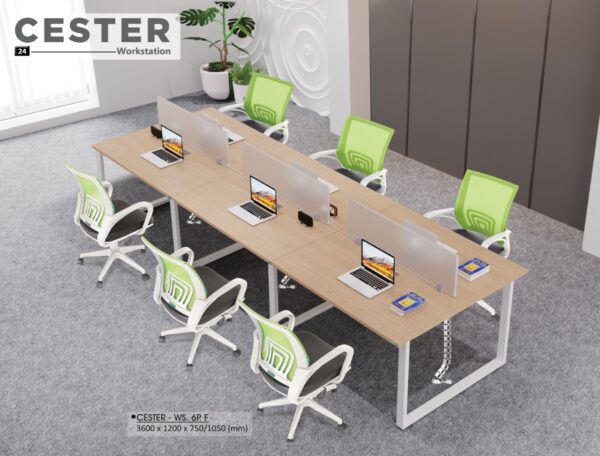 CESTER